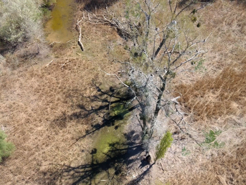 Landschaft 6