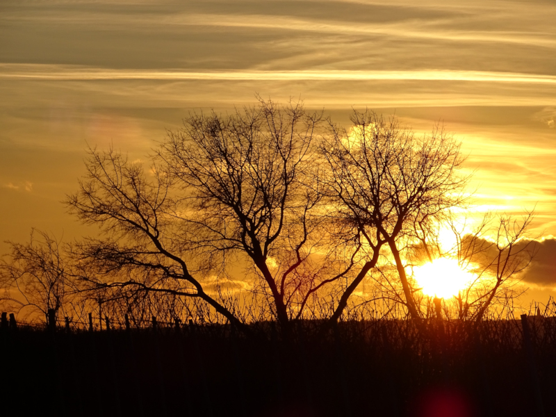 Licht 3