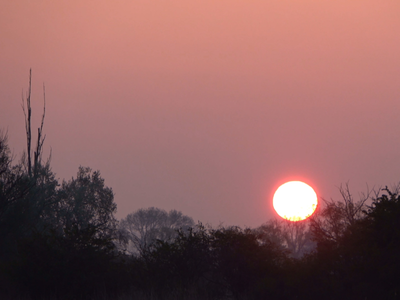 Licht 4