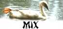 Mix