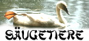 Säugetiere